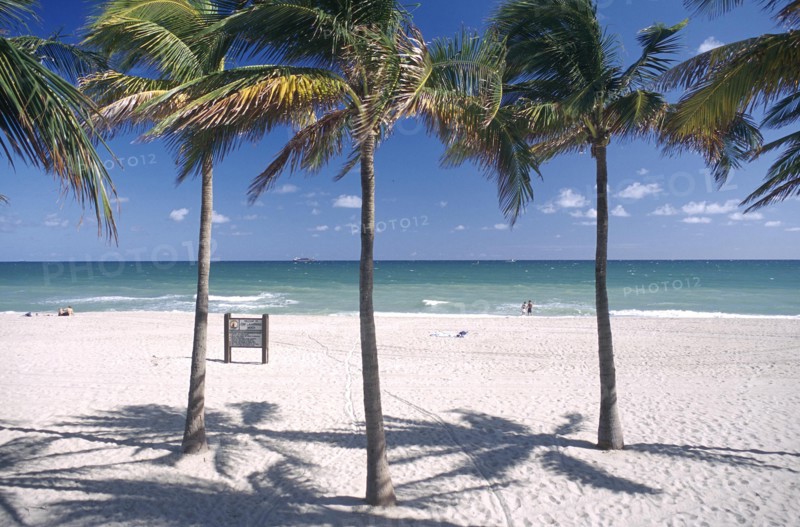 USA, Florida, Fort Lauderdale, View through palms on golden sandy beach with small beach notice