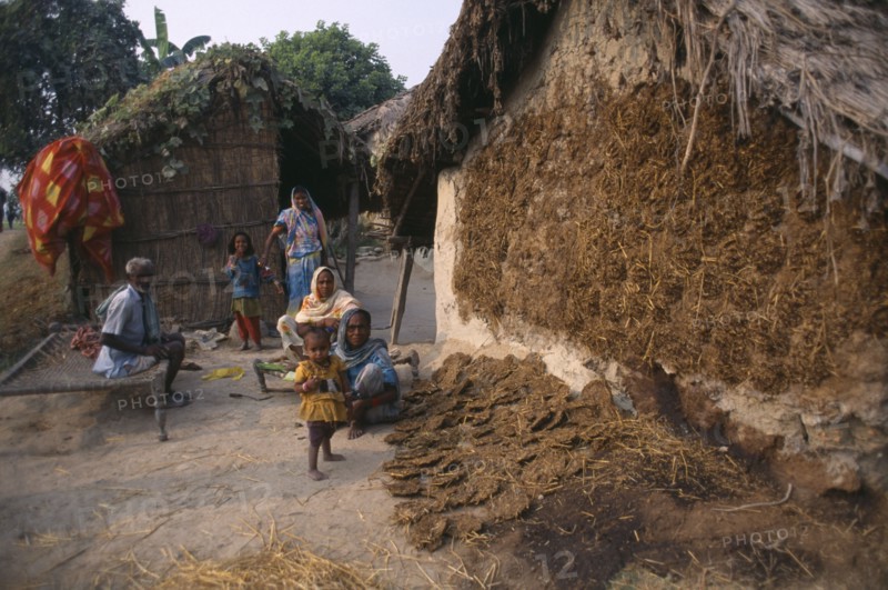 NEPAL, Lumbini, Gounawa, Hindu family by drying cow dung to be used as cooking fuel