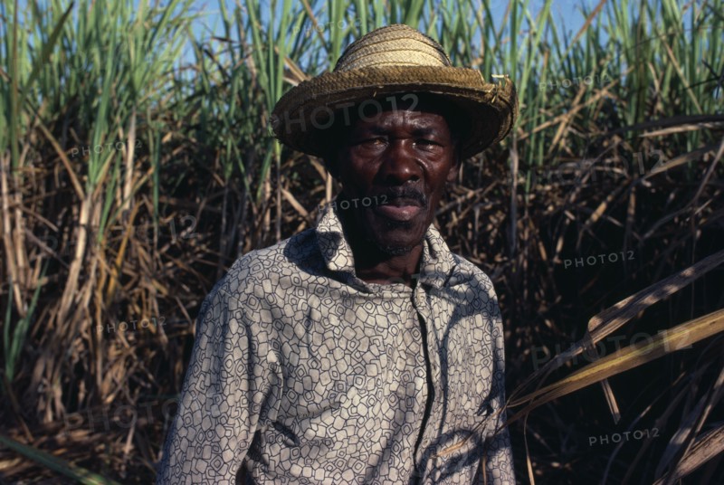 DOMINICAN REPUBLIC, People, Men, Haitian sugar cane cutter.  Head and shoulders portrait.