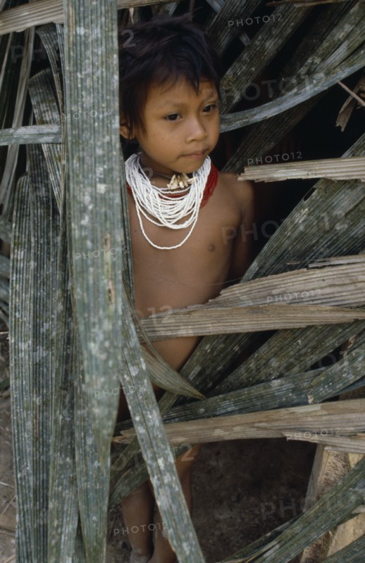 ECUADOR, People, Children, Young Waorani girl outside hut.