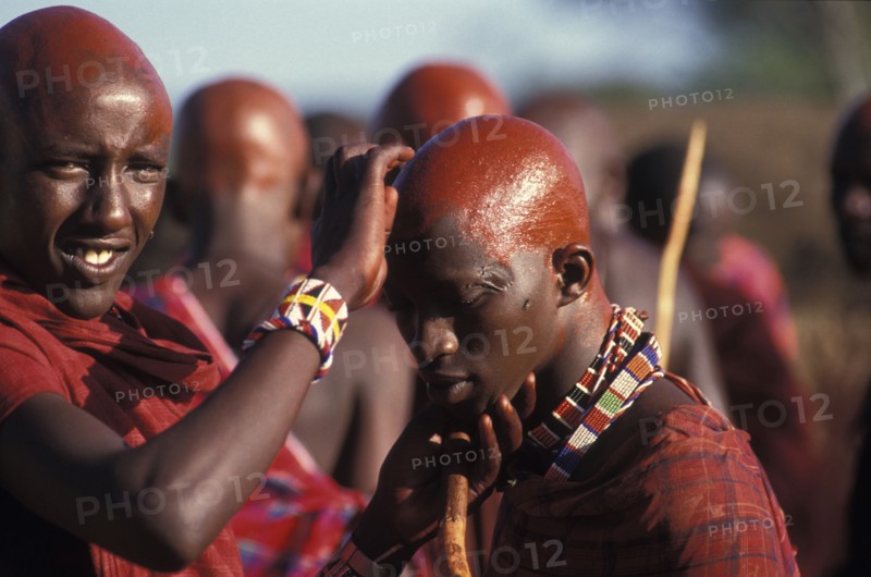KENYA, Kajiado, Maasai Moran cover their recently shaved heads with red ochre which signifies their coming into manhood during an initiation ceremony of their age sets