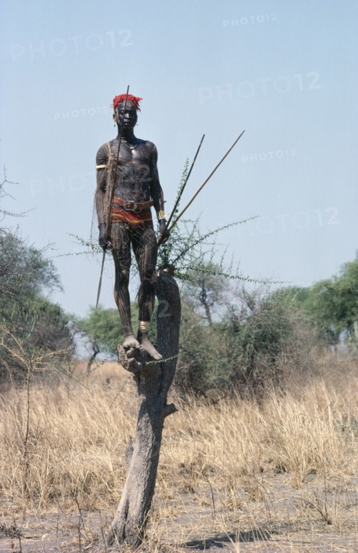 SUDAN, Tribal Peoples, Dinka man standing in tree with net and spear.