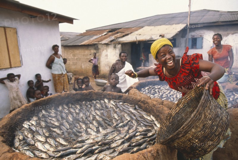 GHANA, Near Accra, "Smiling woman smoking fish in large, circular clay oven."