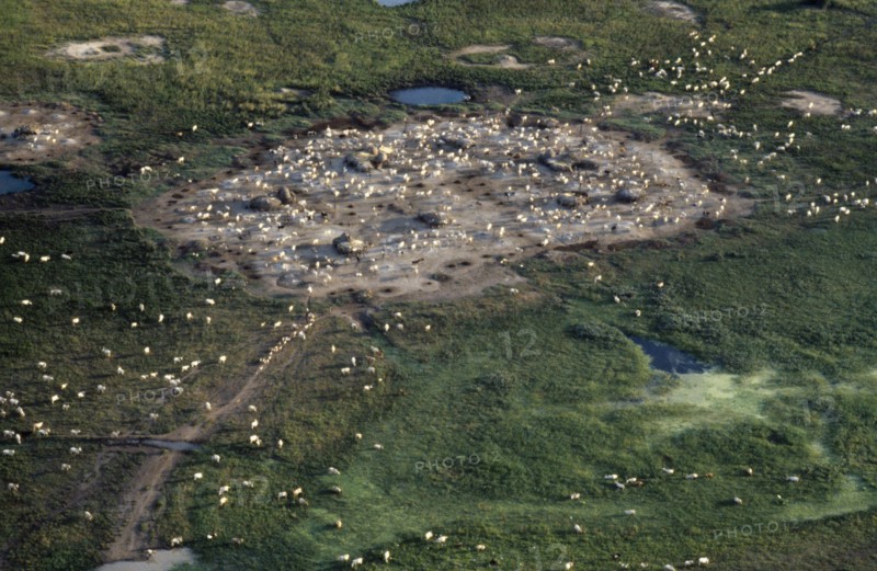 SUDAN, South, Radial Settlement, Aerial view over Dinka cattle camp.