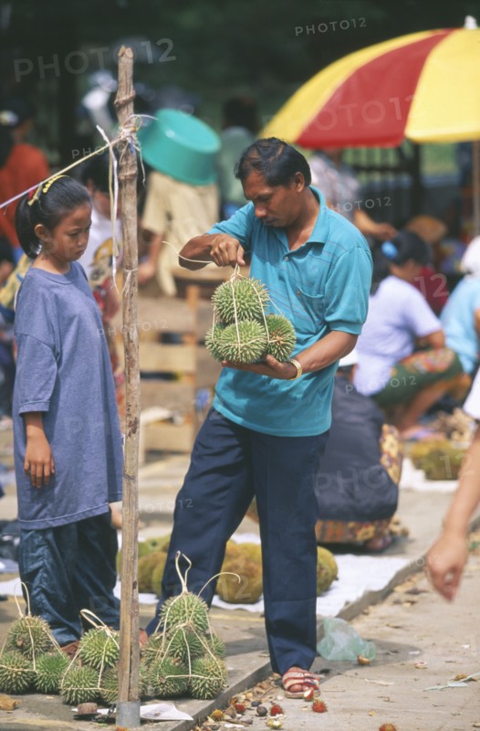 MALAYSIA, Borneo, Sabah, Kota Belud tamu weekly market with durian fruit vendor