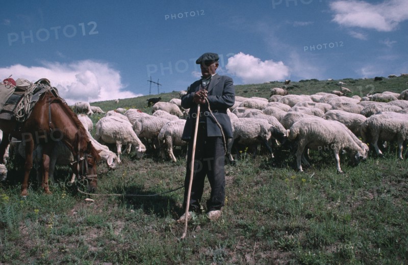 ARMENIA, Djermuk, Shepherd with horse and flock.