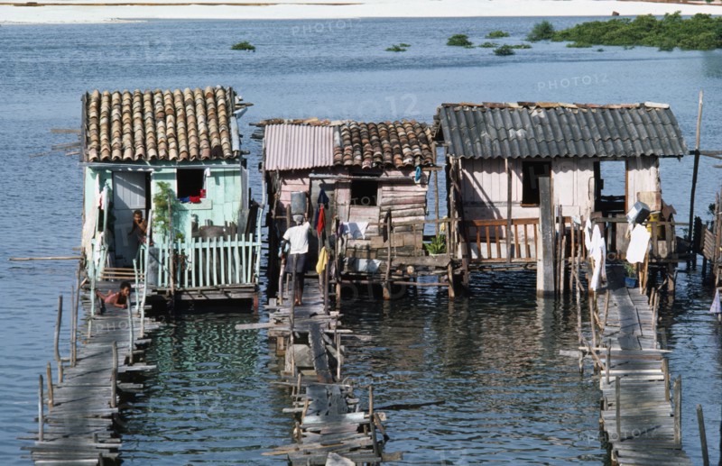 BRAZIL, Bahia, Salvador da Bahia, Slum dwellings raised above sewage polluted water with access by wooden bridge.