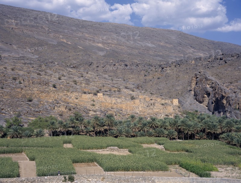 OMAN, Wadi Ghul, Oasis and agricultural land near Nizwa.