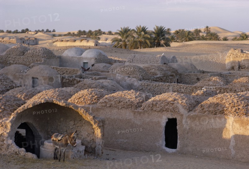 ALGERIA, Sahara, Traditional mud architecture with donkey in foreground.
