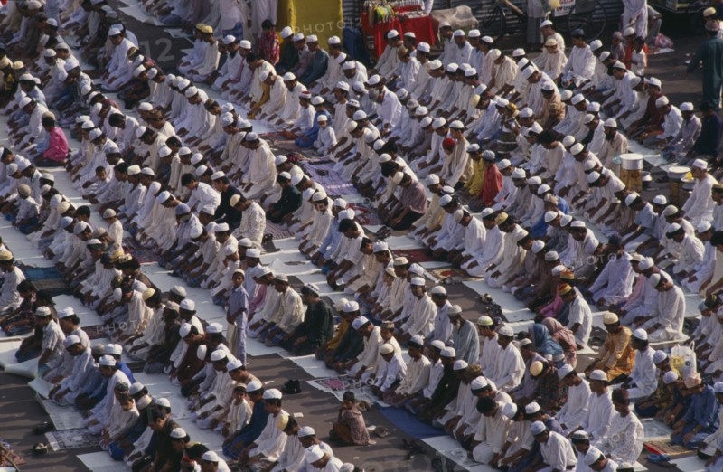 BANGLADESH, Dhaka, Rows of Muslims kneeling in prayer.
