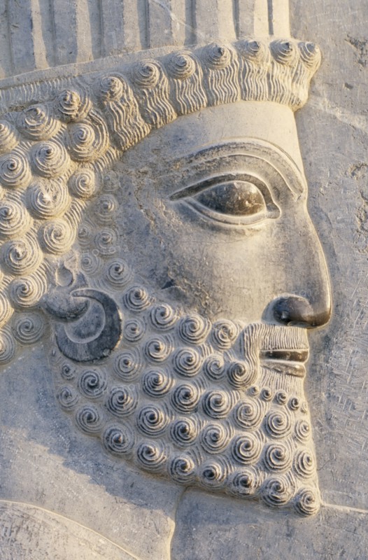 IRAN, Zagros Mountains, Persepolis, Ancient Greek site.  Detail of frieze in the Apadana or Great Audience Hall.
