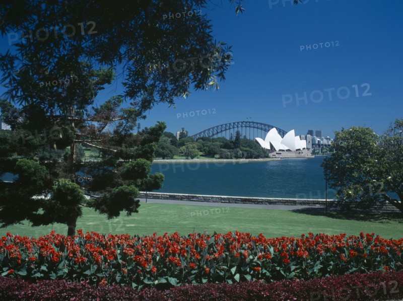 AUSTRALIA, New South Wales, Sydney, View of the Sydney Opera House and Harbour Bridge seen from the Royal Botanic Gardens