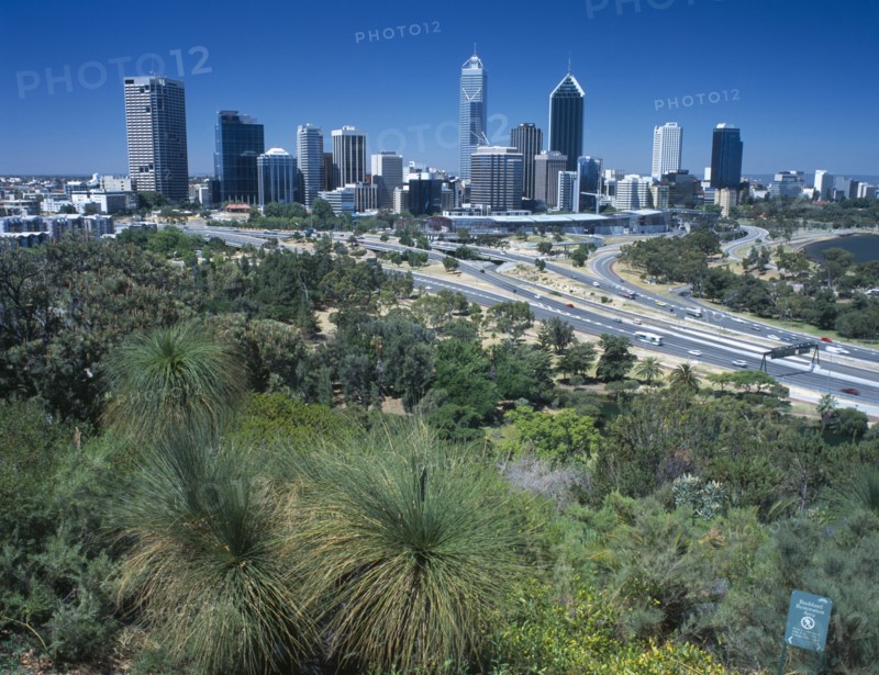 AUSTRALIA, Western Australia, Perth, Kings Park greenery with the city skyline beyond