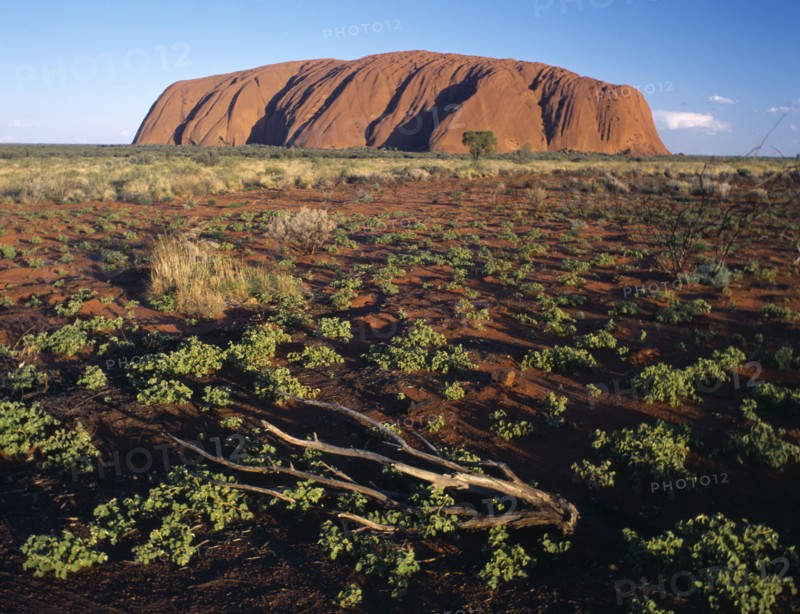 AUSTRALIA, Northern Territory, Kata Tjuta National Park, Ayers Rock aka Uluru seen from Sunset Viewing Point