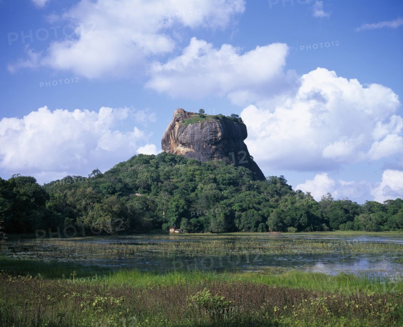 SRI LANKA, Sigiriya, View over lily pond toward the Lion Rock monolith