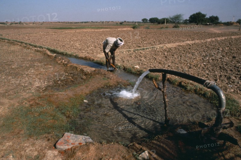 INDIA, Andhra Pradesh, Irrigation of agricultural land.