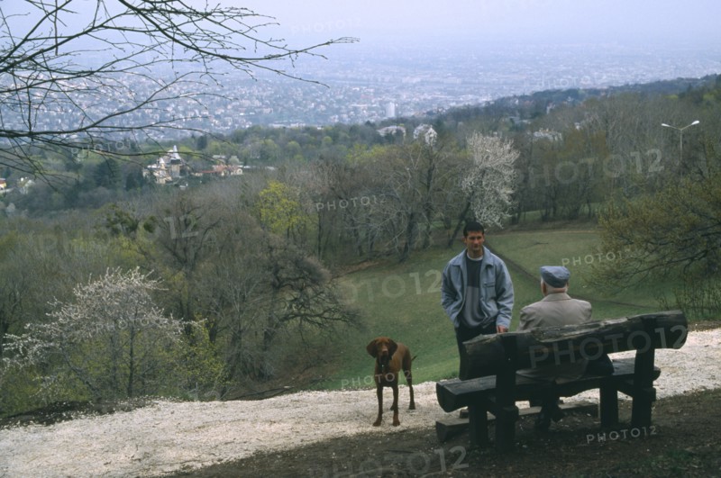 HUNGARY, Budapest, Dog walkers in conversation in park above city.