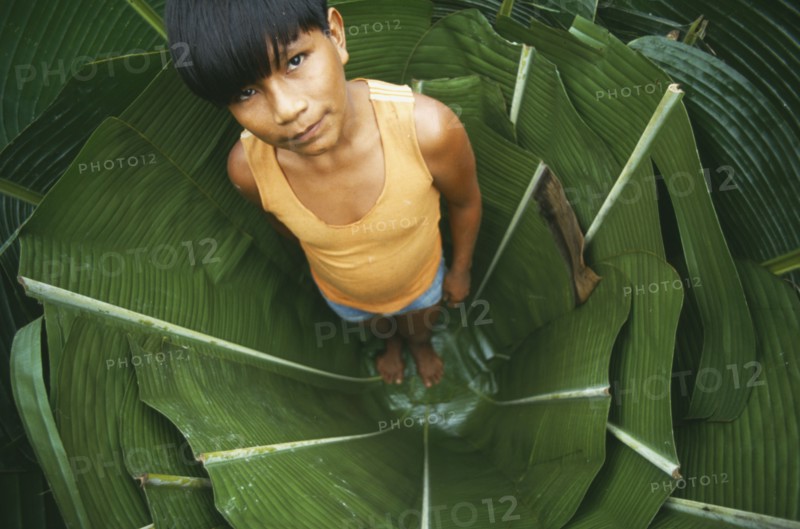 COLOMBIA, Amazonas, Santa Isabel, Young Macuna boy standing in a hole lined with Heliconia leaves used for storing manioc starch.