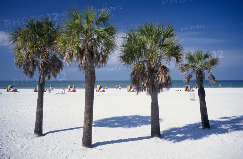 USA, Florida, Clearwater, White sandy beach with palm trees in the foreground