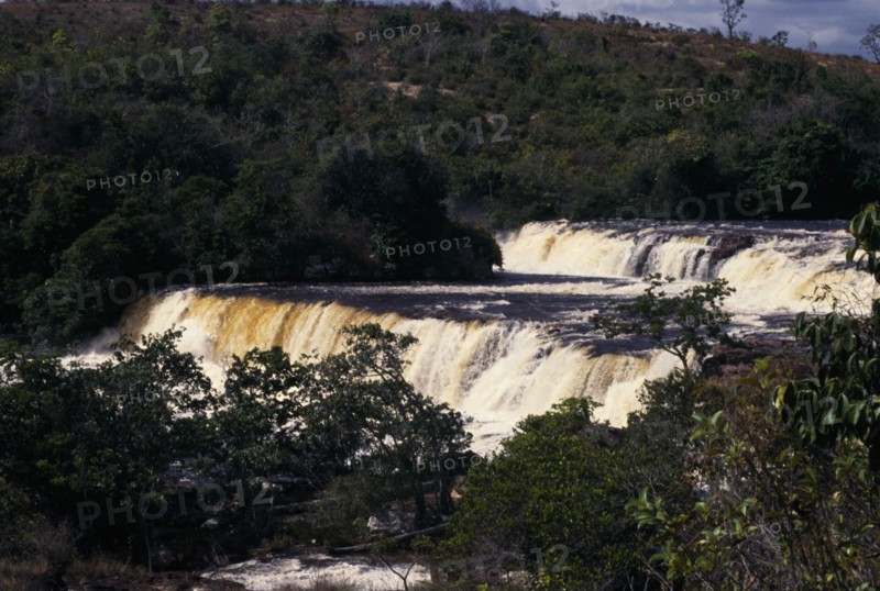 GUYANA, Oronduik Falls, Steps and terraces of waterfall on the Ireng River surrounded by trees.