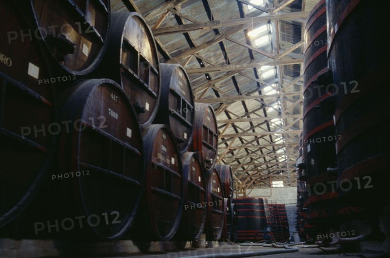 CHILE, Maule, Puente Alto, Concha y Toro winery.  Wooden fermentation and maturation barrels.