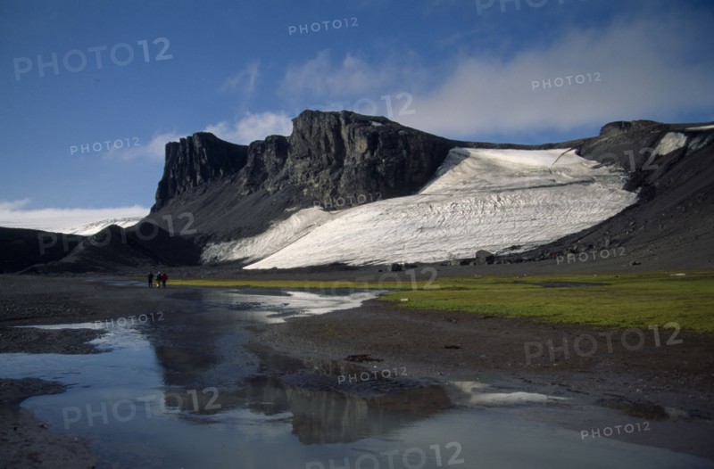 ANTARCTICA, Antarctic Peninsula, Livingstone Island, Hannah Point.  Landscape with moss beds.