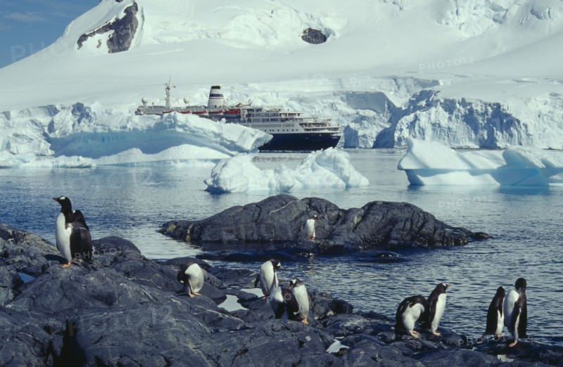 ANTARCTICA, Antarctic Peninsula, Paradise Harbour, Marco Polo cruise ship with penguin colony on rocks in foreground.