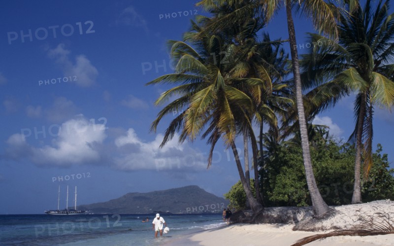 WEST INDIES, Grenadines, Carriacou Island, Sandy Island.  Tourists on sandy beach beneath palm trees with sailing ship moored in water beyond.