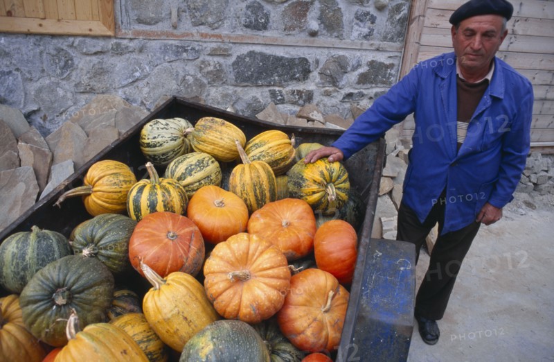 BULGARIA, Sozopol, Pumpkin farmer standing beside his crop in a cart beside him