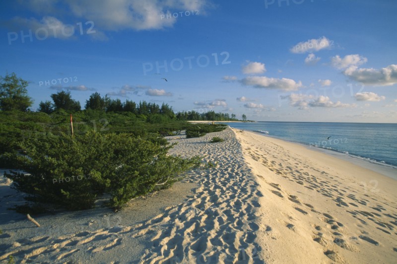 SEYCHELLES, Bird Island, Footprints along shoreline of empty sandy beach.