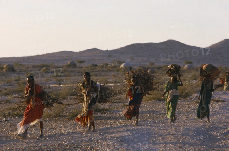 SOMALIA, Gannet, Line of five women carrying bundles of firewood in rural area.