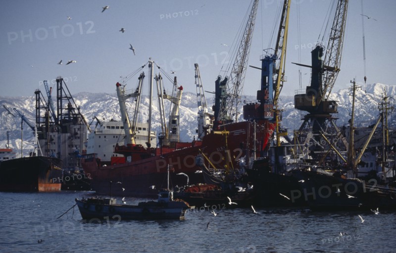 GEORGIA, Ajaria, Batumi, Fishing boats and trawlers in port on the Black Sea coast.