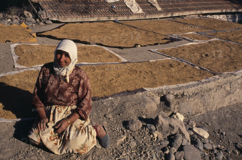 TURKEY, Central Anatolia, Ankara, Kizilcahamam.  Woman sitting beside rice spread out to dry on rooftop.