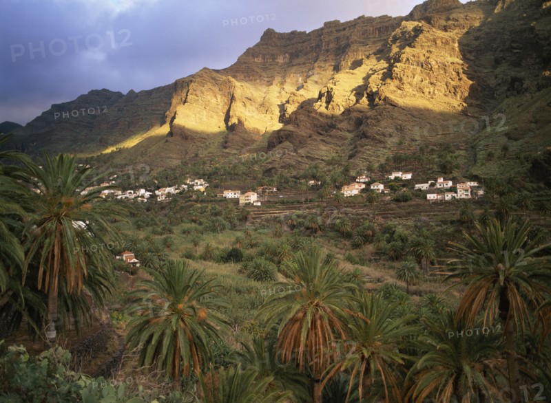SPAIN, Canary Islands, La Gomera, Valle Gran Rey.  Houses on terraced hillside at foot of sheer craggy rock face with date palms in the foreground.