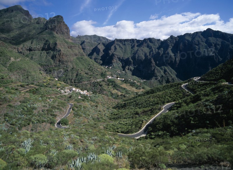 SPAIN, Canary Islands, Tenerife, Masca.  Winding road through valley with housing on terraced lower slopes and steep cliffs above.