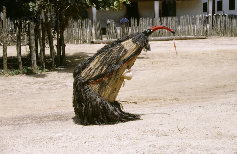 BRAZIL, Amazon, Kayapo coconut dancer