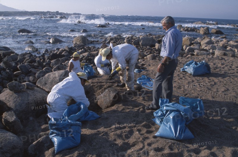 SPAIN, Galicia, Costa da Morte, Cleaning squads removing oil from rocky coastline one year after the Prestige oil disaster.