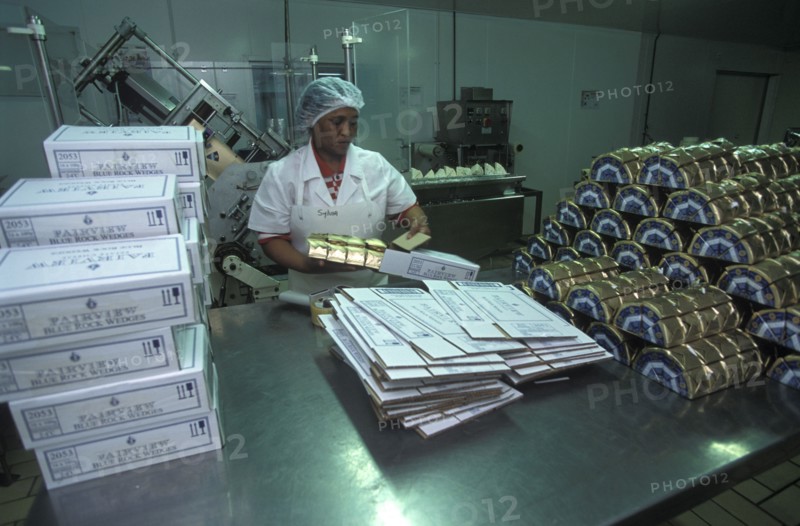 SOUTH AFRICA, Western Cape, Paarl, Female worker packing goats cheese at Fairview goats cheese and wine estate