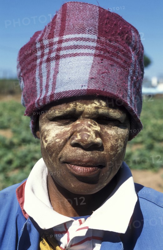 SOUTH AFRICA, Western Cape, Stellenbosch, Portrait of an agricultural farm worker at Mooiberg fruit and vegetable farm