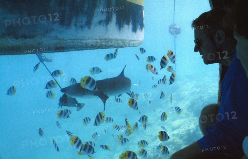 PACIFIC ISLANDS, French Polynesia, Tuamotu Islands, Ringiroa.  Visitors watchng fish in aquarium.