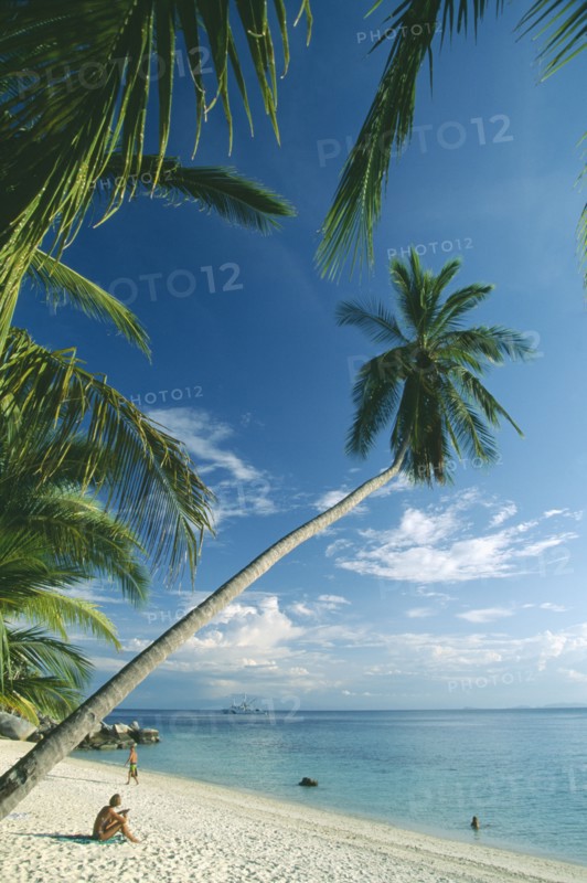 MALAYSIA, Terengganu, Perhentian Besar, Quiet sandy beach with overhanging palm trees and aquamarine water.