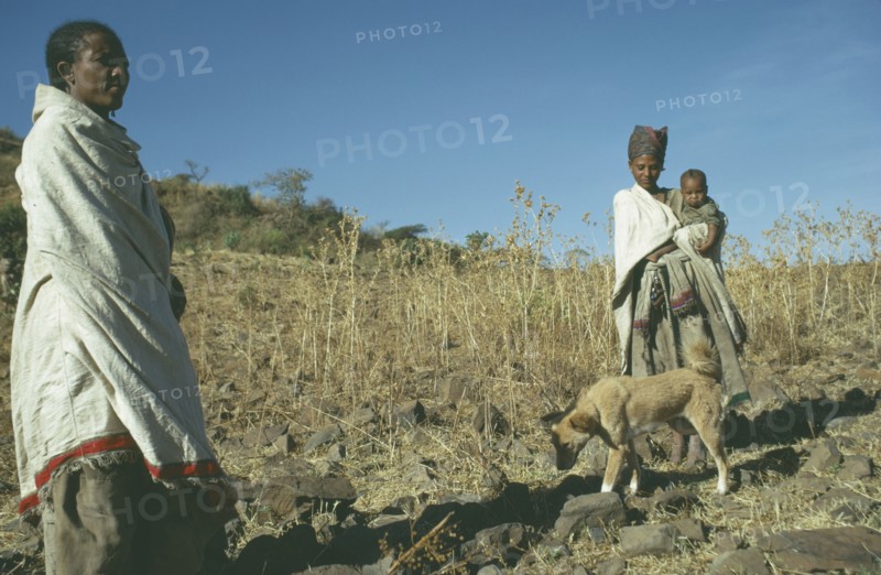 ETHIOPIA, Tribal People, Falasha women and child in field with dog.