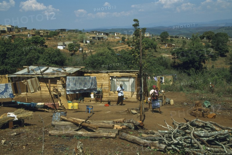 SOUTH AFRICA, Mpumalanga, Near Graskop, Wooden family homes with vegetable gardens.