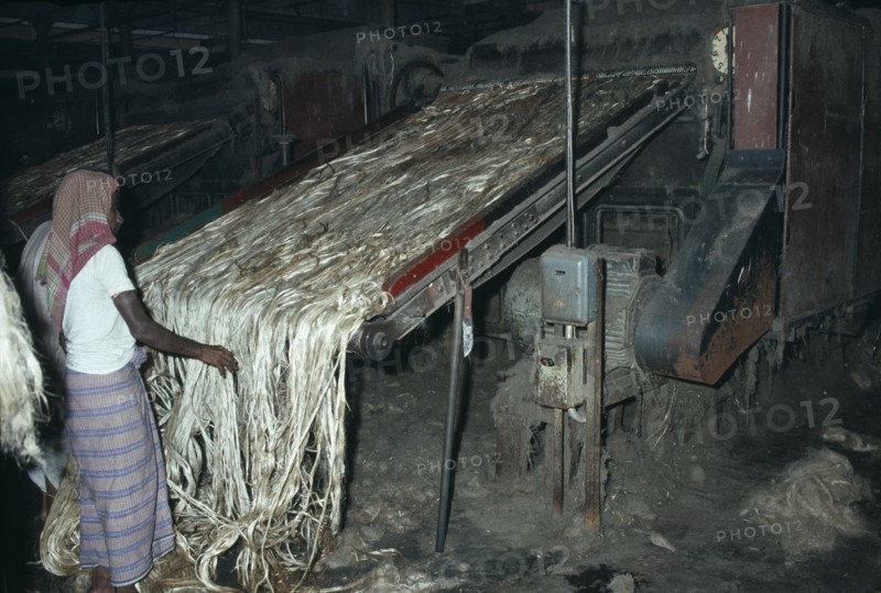 INDIA, West Bengal, Calcutta, Male worker in Fort Gloster jute mill feeding raw jute on to machinery.