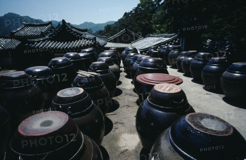 SOUTH KOREA, South Kyongsan, Haeinsa, Kimchi pots containing pickled cabbage eaten as part of every meal outside Haeinsa Temple.