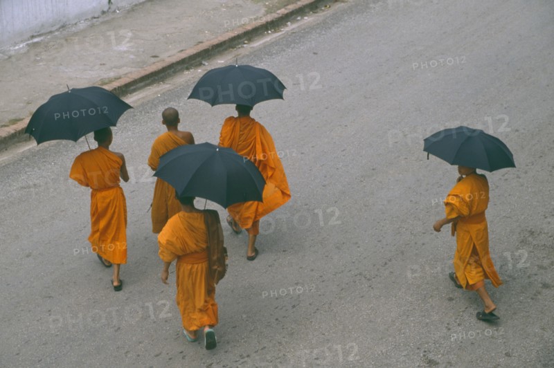 LAOS, Luang Prabang, Looking down on group of Buddhist monks carrying black umbrellas crossing street.
