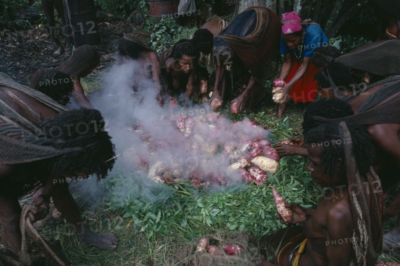 INDONESIA, Irian Jaya, Baliem Valley, Dani tribeswomen steaming sweet potatoes in traditional oven made from grass and hot stones.