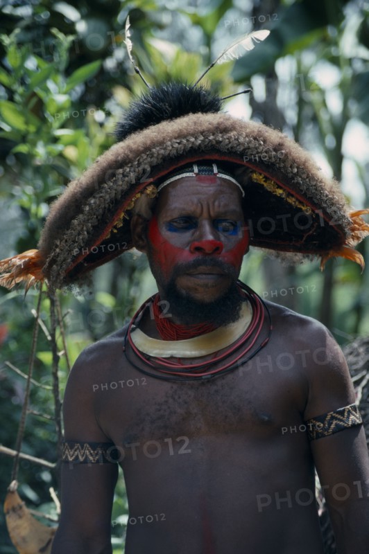 PAPUA NEW GUINEA, Southern Highlands, Tari Valley, Huli tribesman wearing day wig.