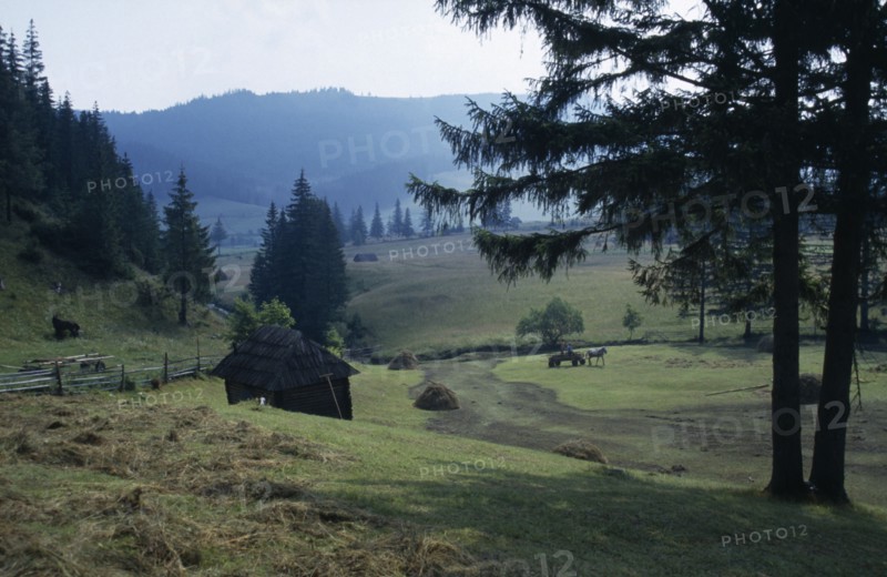 ROMANIA, Transylvania, Carpathian Mountains.
