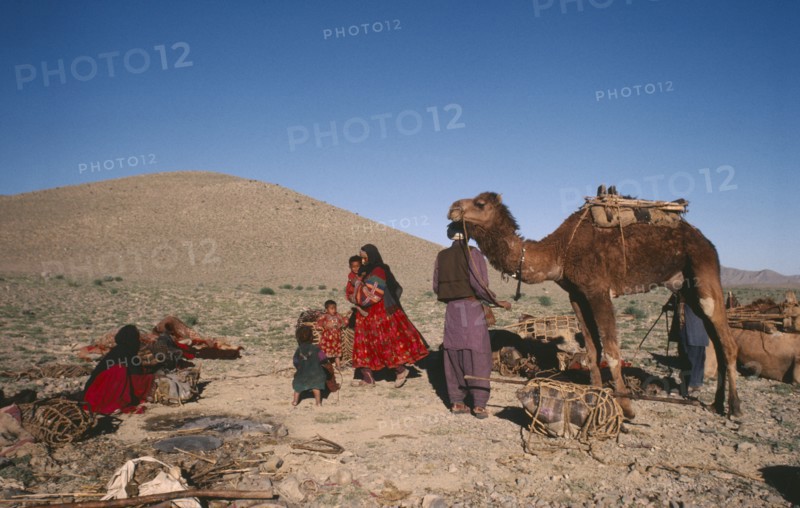 AFGHANISTAN, Nomadic LIfestyle, Nomad family with camel preparing to move.